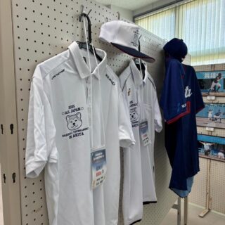 天皇賜杯第80回全日本軟式野球大会ENEOSトーナメント2